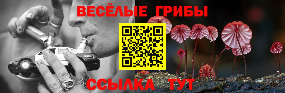 Псилоцибиновые грибы MAGIC MUSHROOMS  Вход с VPN  Воронеж 